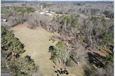 1120 Kansas-Jake Road, Waco, GA 30182 - Photo 41