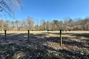 1120 Kansas Jake Rd, Waco, GA 30182 - Photo 39