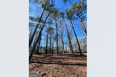 1120 Kansas-Jake Road, Waco, GA 30182 - Photo 37