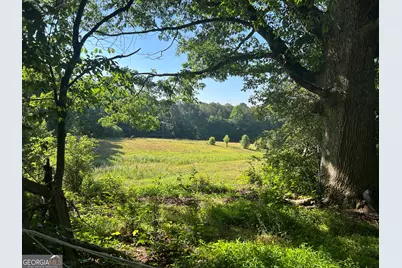 3498 Mud Creek Road, Cornelia, GA 30531 - Photo 13