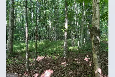 3498 Mud Creek Road, Cornelia, GA 30531 - Photo 19