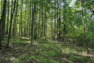 3498 Mud Creek Rd, Cornelia, GA 30531 - Photo 21