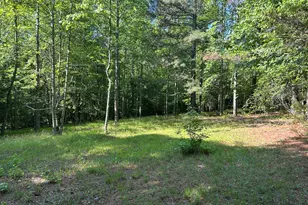 3498 Mud Creek Rd, Cornelia, GA 30531 - Photo 25