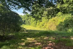 3498 Mud Creek Rd, Cornelia, GA 30531 - Photo 17