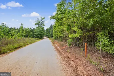 0 Perkins Road, Barnesville, GA 30204 - Photo 5
