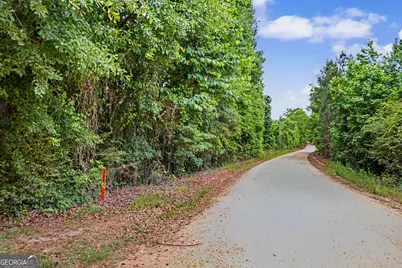 0 Perkins Road, Barnesville, GA 30204 - Photo 3