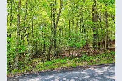 Lots 3&amp;5 Cozy Cove Road, Blairsville, GA 30512 - Photo 3