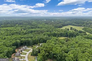 79 Country Farms Way, Rockmart, GA 30153 - Photo 33