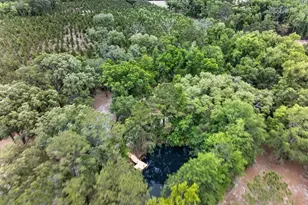 5781 Adams Rd, Valdosta, GA 31601 - Photo 9