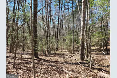 95 Black Bear Trail, Cleveland, GA 30528 - Photo 5