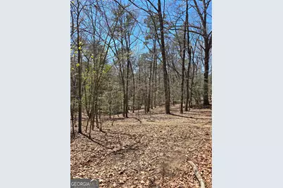 95 Black Bear Trail, Cleveland, GA 30528 - Photo 3