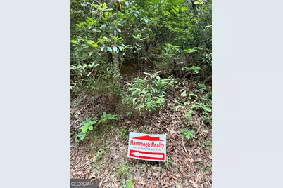 95 Black Bear Trail, Cleveland, GA 30528 - Photo 15