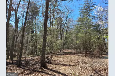 95 Black Bear Trail, Cleveland, GA 30528 - Photo 3