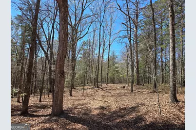 95 Black Bear Trail, Cleveland, GA 30528 - Photo 1