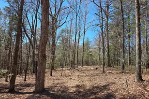 95 Black Bear Trl, Cleveland, GA 30528 - Photo 1