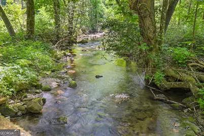544 Darnell Creek Road, Rabun Gap, GA 30568 - Photo 89