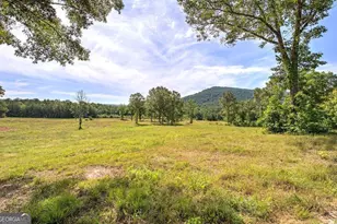1084 Shahan Ln, Lafayette, GA 30728 - Photo 41