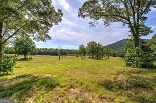 1084 Shahan Ln, Lafayette, GA 30728 - Photo 59