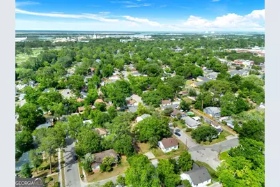 325 Forrest Avenue, Savannah, GA 31404 - Photo 37