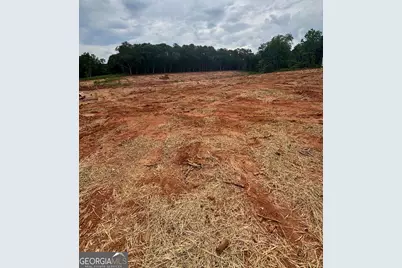 0 West Avenue, Lavonia, GA 30553 - Photo 5