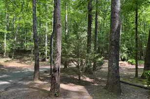 744 Sky Lake Rd, Sautee Nacoochee, GA 30571 - Photo 7