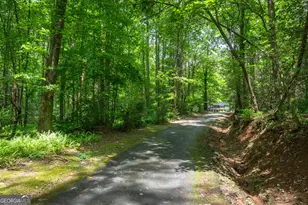744 Sky Lake Rd, Sautee Nacoochee, GA 30571 - Photo 51
