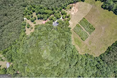 230 Haynes Road, Moreland, GA 30259 - Photo 39