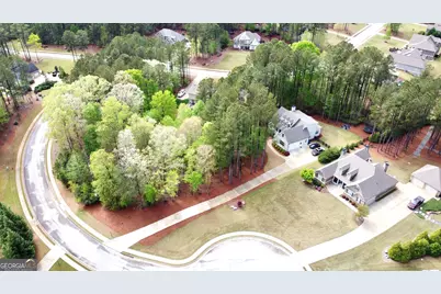 120 Springs Creek Drive, Rutledge, GA 30663 - Photo 3