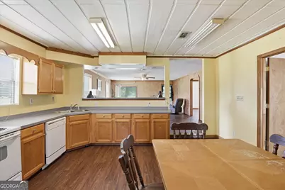 1525 Myron Hart Road, Coolidge, GA 31738 - Photo 15