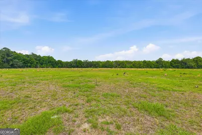 1525 Myron Hart Road, Coolidge, GA 31738 - Photo 45