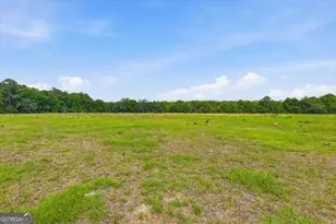 1525 Myron Hart Rd, Coolidge, GA 31738 - Photo 45