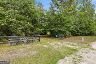 1525 Myron Hart Rd, Coolidge, GA 31738 - Photo 35
