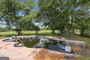 1525 Myron Hart Rd, Coolidge, GA 31738 - Photo 41