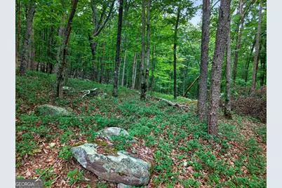 0 Ridgeside Court, Jasper, GA 30143 - Photo 3