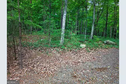 0 Ridgeside Court, Jasper, GA 30143 - Photo 5