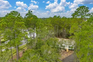 425 Emanuel Church Rd, Brunswick, GA 31523 - Photo 13