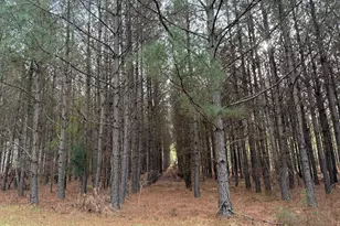 0000 Center Hill School Rd, Crawfordville, GA 30631 - Photo 1