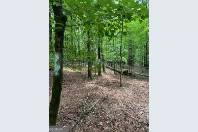 Lot 7 Browns Lake, Sparta, GA 31087 - Photo 5