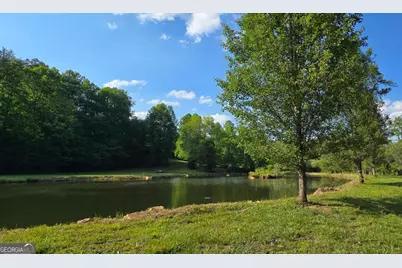 3800 Cutcane Road, Mineral Bluff, GA 30559 - Photo 9