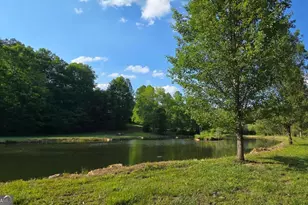 3800 Cutcane Rd, Mineral Bluff, GA 30559 - Photo 9