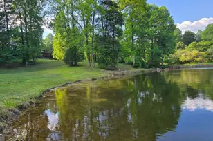 3800 Cutcane Rd, Mineral Bluff, GA 30559 - Photo 7