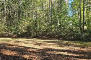 377 Dock Hyde Rd, Carrollton, GA 30116 - Photo 33