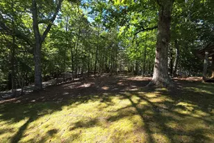 854 Rizzitello Ln, Blairsville, GA 30512 - Photo 43