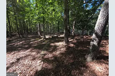 854 Rizzitello Lane, Blairsville, GA 30512 - Photo 45