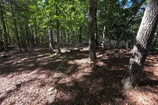 854 Rizzitello Ln, Blairsville, GA 30512 - Photo 45