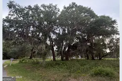 119 Sapelo Circle LOT #38, Darien, GA 31305 - Photo 7