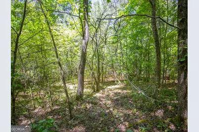5 Acres Stanfield Drive, LaFayette, GA 30728 - Photo 7