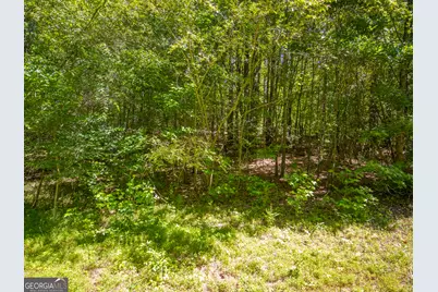 5 Acres Stanfield Drive, LaFayette, GA 30728 - Photo 11