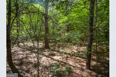 5 Acres Stanfield Drive, LaFayette, GA 30728 - Photo 5