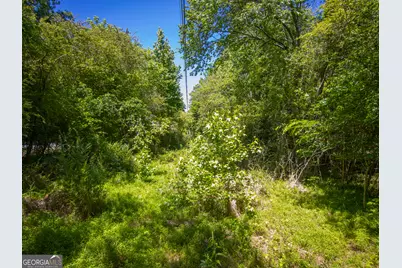 5 Acres Stanfield Drive, LaFayette, GA 30728 - Photo 9